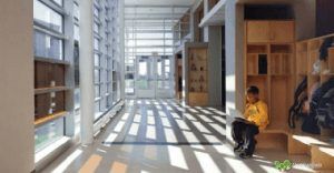 integrar la luz dia con el diseño